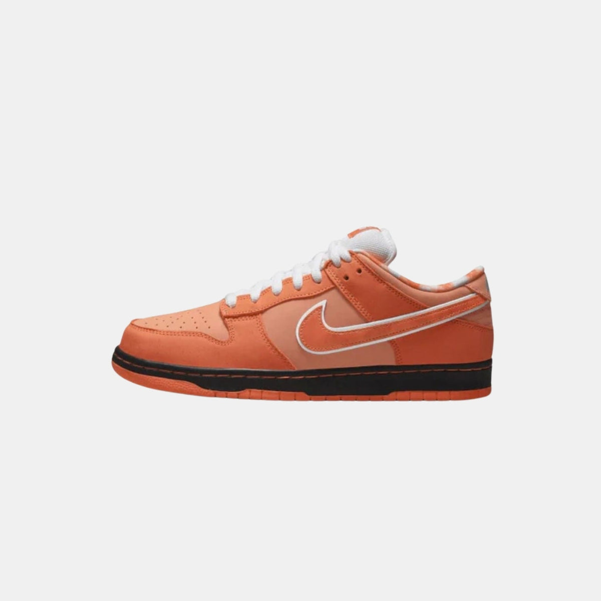 Jordan Dunk Low